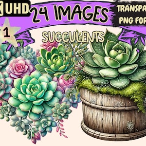 Succulents Clipart - 24 PNG Botanical Plant Illustrations, Greenery Flower Art, Instant Digital Download, Unlimited Commercial Use Crafts