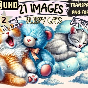 Sleepy Cats (P2) Clipart - 21 PNG Cozy Cat Graphics, Feline Kitty Printables, Instant Digital Download, Unlimited Commercial Use for Crafts