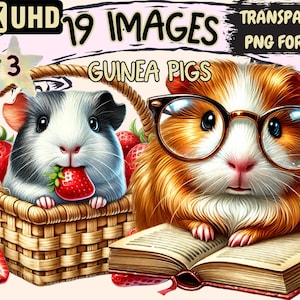 Guinea Pigs (P3) Clipart - 19 PNG Cute Guinea Pig Graphics, Adorable Pet Printables, Instant Digital Download, Unlimited Commercial Use