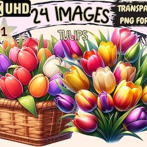Tulips Clipart - 24 PNG Tulip Flowers Graphics, Beautiful Vibrant Floral Printables, Instant Digital Download, Unlimited Commercial Use