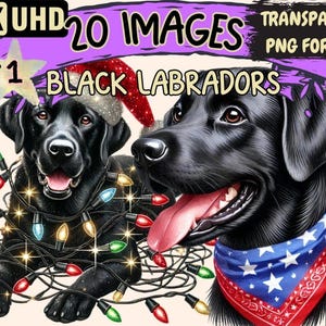 Black Labrador Clipart – 20 PNG Dog Illustrations (Digital Download)