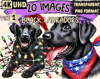 Black Labrador Clipart – 20 PNG Dog Illustrations (Digital Download)