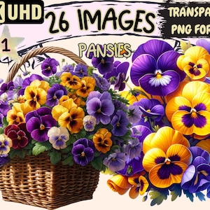 Pansies Clipart - 26 PNG Vibrant Pansy Flowers Graphics, Colorful Beautiful Printables, Instant Digital Download, Unlimited Commercial Use