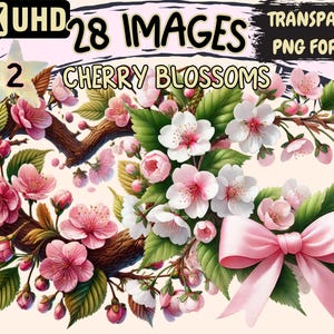 Cherry Blossoms (P2) Clipart - 28 PNG Sakura Graphics, Spring Illustrations, Nature Printables, Instant Digital Download, Commercial Use