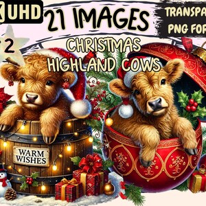 Christmas Highland Cows (P2) Clipart - 21 PNG Festive Cow Graphics, Holiday Printables, Instant Digital Download, Unlimited Commercial Use