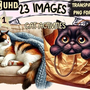 Playful Cat Activities Clipart – 23 PNG Graphics (Digital Download)