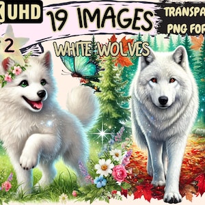 White Wolves (P2) Clipart - 19 PNG Arctic Wolf Illustrations, Forest Wildlife Art, Instant Digital Download, Unlimited Commercial Use Crafts