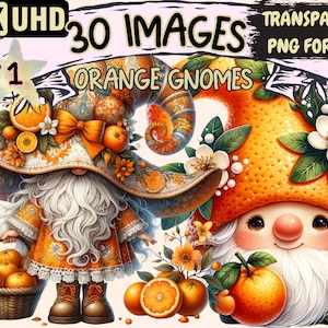 Orange Fruit Gnomes Clipart - 30 PNG Citrus Gnome Graphics, Colorful Orange Printables, Instant Digital Download, Unlimited Commercial Use