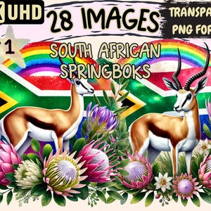 South African Springboks Clipart - 28 PNG Rugby Illustrations, Team Mascot Art, Instant Digital Download, Unlimited Commercial Use Crafts