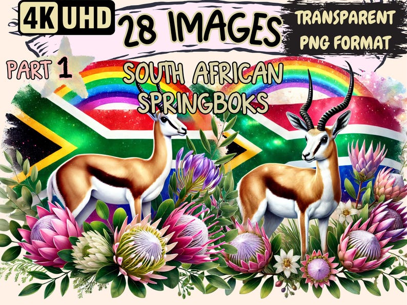 South African Springboks Clipart – 28 PNG Rugby Illustrations (digital ...