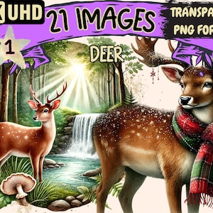 Deer Clipart - 21 PNG Woodland Animal Illustrations, Forest Wildlife Art, Instant Digital Download, Unlimited Commercial Use for Crafts