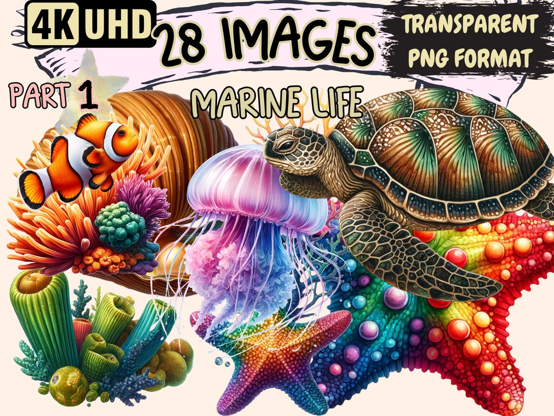 Marine Life Clipart - 28 PNG Vibrant Ocean Graphics, Sea Printables ...