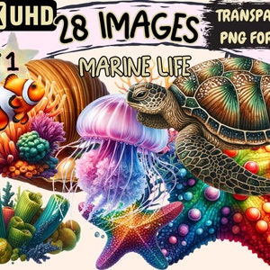 May include: A colorful illustration of marine life, including a sea turtle, jellyfish, starfish, clownfish, and coral. The image is part of a set of 28 images in 4K UHD, transparent PNG format.
