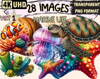 Vibrant Marine Life Clipart – 28 PNG Ocean Graphics (Digital Download)