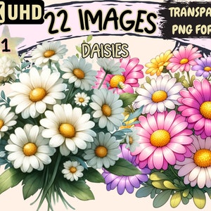 Daisies Clipart - 22 PNG White Daisy Flower Graphics, Beautiful Floral Bouquets Printables,Instant Digital Download,Unlimited Commercial Use