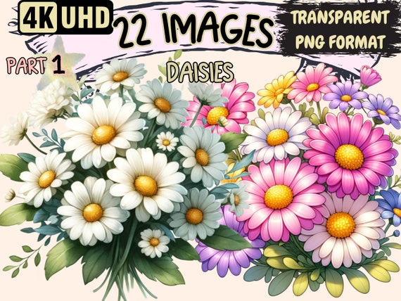 Daisies Clipart – 22 White Daisy Flower PNG Graphics (Digital Download)