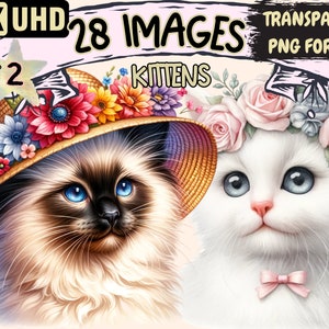 Kittens (P2) Clipart - 28 PNG Adorable Kitten Graphics, Cute Cat Printables, Instant Digital Download, Unlimited Commercial Use Designs