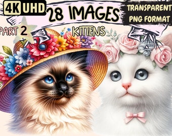 Adorable Kitten Clipart – 28 PNG Graphics, Commercial Use (Digital Download)