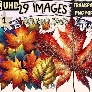 Autumn Leaves Clipart – 29 Fall Foliage PNG Illustrations (Digital Download)