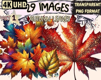 Autumn Leaves Clipart – 29 Fall Foliage PNG Illustrations (Digital Download)