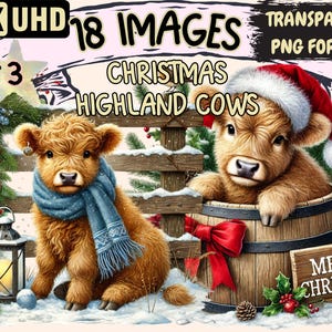 Christmas Highland Cows (P3) Clipart - 18 PNG Festive Cow Graphics, Holiday Printables, Instant Digital Download, Unlimited Commercial Use
