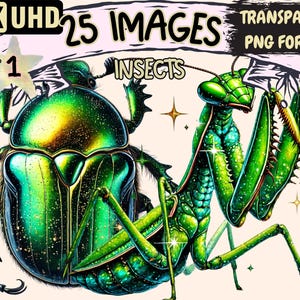 Insects Clipart - 25 PNG Bugs Ants Grasshopper Illustrations, Entomology Art, Instant Digital Download, Unlimited Commercial Use for Crafts