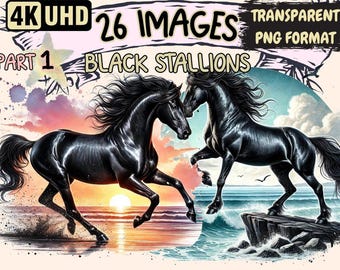 Black Stallions Clipart – Equestrian PNG Illustrations (Digital Download)