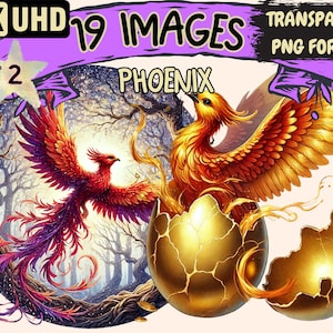 Phoenix (P2) Clipart - 19 PNG Mythical Bird Illustrations, Fantasy Flame Art, Instant Digital Download, Unlimited Commercial Use for Crafts