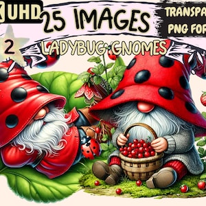 Ladybug Gnomes (P2) Clipart - 25 PNG Adorable Ladybugs Gnome Illustrations, Whimsical Art, Instant Digital Download,Unlimited Commercial Use