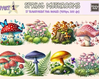 Whimsical Mushroom Clipart – Spring Fungi PNG Graphics (Digital Download)
