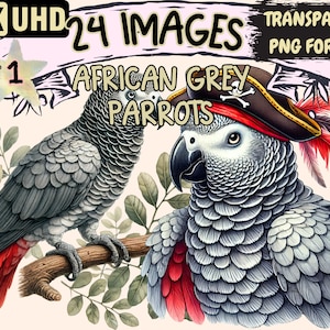 African Grey Parrots Clipart - 24 PNG Vibrant Parrot Graphics, Bird Printables, Instant Digital Download, Unlimited Commercial Use Crafts