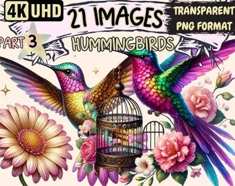 Hummingbird Clipart – 21 PNG Floral Bird Graphics, Commercial Use (Digital Download)