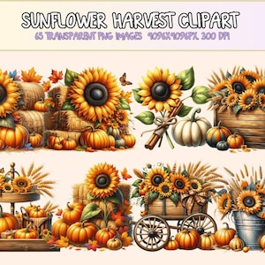 Sunflower Harvest Clipart All Bundles Clipart Line Art - WondersArtist