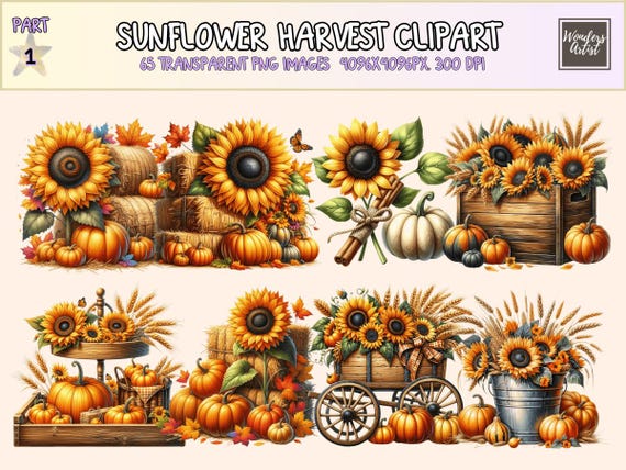 Sunflower Harvest Clipart - 65 PNG Illustrations