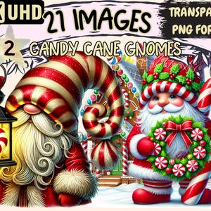 Candy Cane Gnomes (P2) Clipart - 21 PNG Festive Gnome Illustrations, Sweet Holiday Art, Instant Digital Download, Unlimited Commercial Use