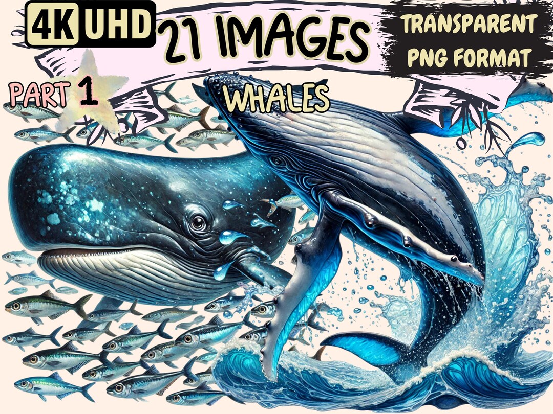 Whales Clipart - 21 PNG Majestic Whale Graphics, Ocean Animal ...