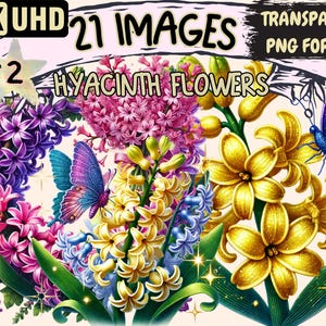 Hyacinth Flowers (P2) Clipart - 21 PNG Floral Illustrations, Botanical Art, Instant Digital Download, Unlimited Commercial Use for Crafts