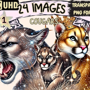 Cougars Clipart - 24 PNG Mountain Lion Illustrations, Mountain Wildlife Art, Instant Digital Download, Unlimited Commercial Use Crafts