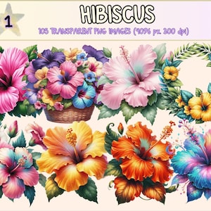 Hibiscus Clipart – 105 Tropical Flower PNG Graphics, Commercial Use (Digital Download)