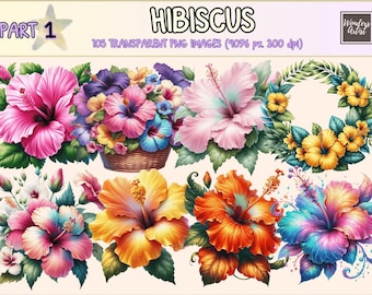 Hibiscus Clipart – 105 Tropical Flower PNG Graphics, Commercial Use (Digital Download)