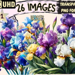 Irises Clipart - 26 PNG Beautiful Flower Graphics, Vibrant Colorful Floral Printables, Instant Digital Download, Unlimited Commercial Use