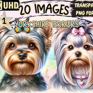 Yorkshire Terriers Clipart - 20 PNG Adorable Yorkie Graphics, Cute Printables, Instant Digital Download, Unlimited Commercial Use Crafts