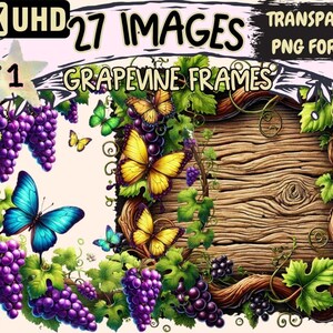 Grapevine Frames Clipart – 27 Vine-Themed PNG Illustrations (Digital Download)