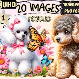 Poodles Clipart - 20 PNG Cute Poodle Graphics, Stylish Dog Printables, Instant Digital Download, Unlimited Commercial Use Crafts & Designs