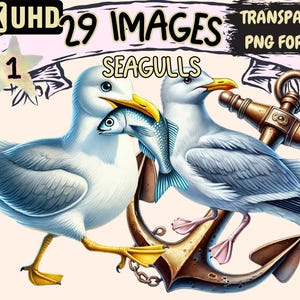 Seagulls Clipart - 29 PNG Coastal Bird Illustrations, Ocean-Themed Bird Art, Instant Digital Download, Unlimited Commercial Use for Crafts