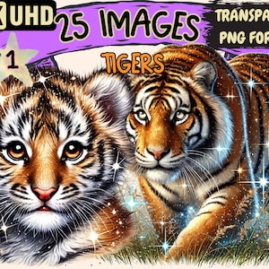 Tigers Clipart - 25 PNG Striking Tiger Illustrations, Wildlife Jungle Cats Art, Instant Digital Download, Unlimited Commercial Use Crafts