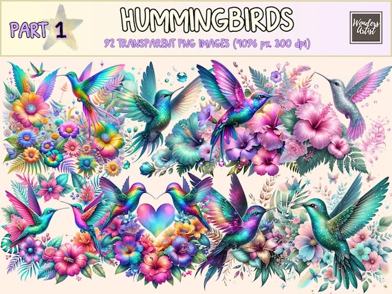 Hummingbird Clipart – 92 Floral PNG Graphics, Exotic Bird Printables (Digital Download)