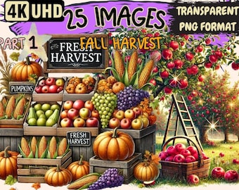 Fall Harvest Clipart – 25 Autumn PNG Illustrations (Digital Download)