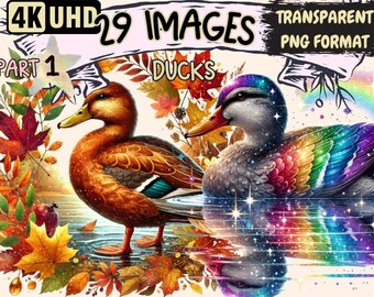 Ducks Clipart - 29 PNG Waterfowl Illustrations, Commercial Use (Digital Download)