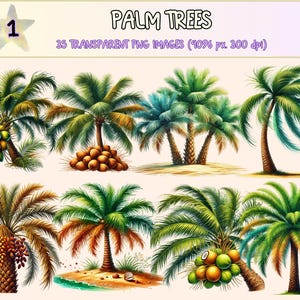 Palm Trees Clipart - 34 PNG Tropical Beach Graphics, Summer Nature Paradise Printable Illustrations, Instant Digital Download,Commercial Use